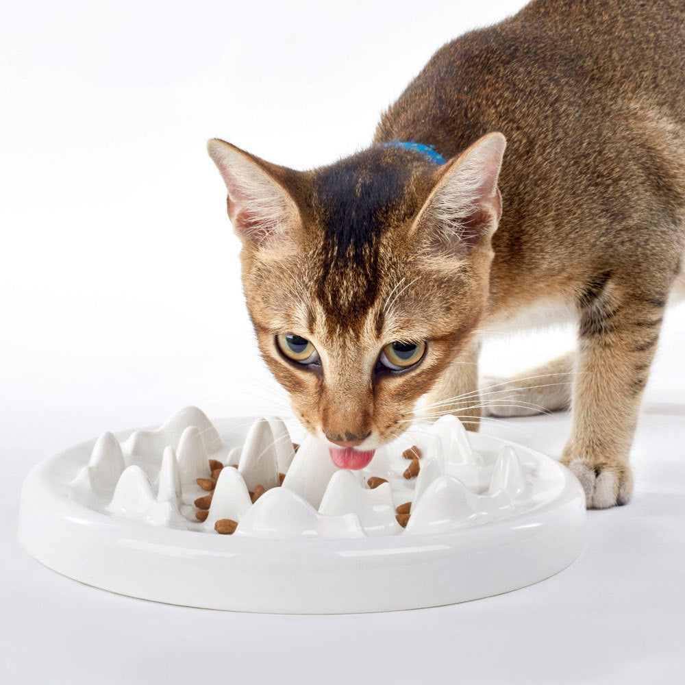 Slow Food Bowl Ceramic Cat Bowl